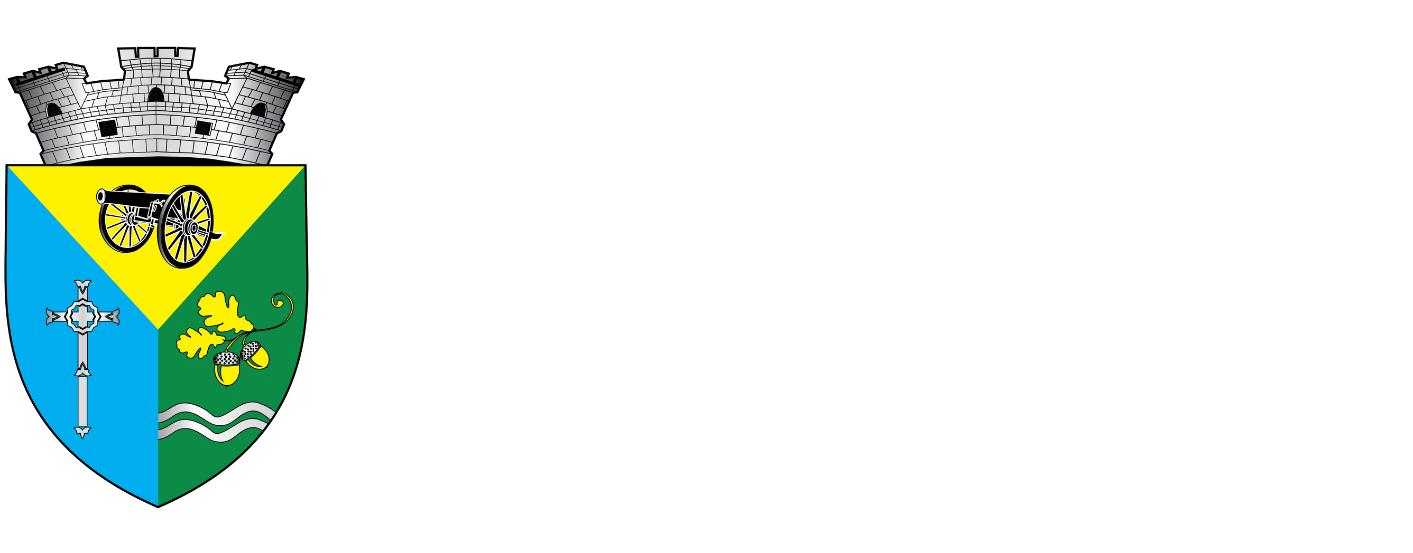Primăria Chitila
