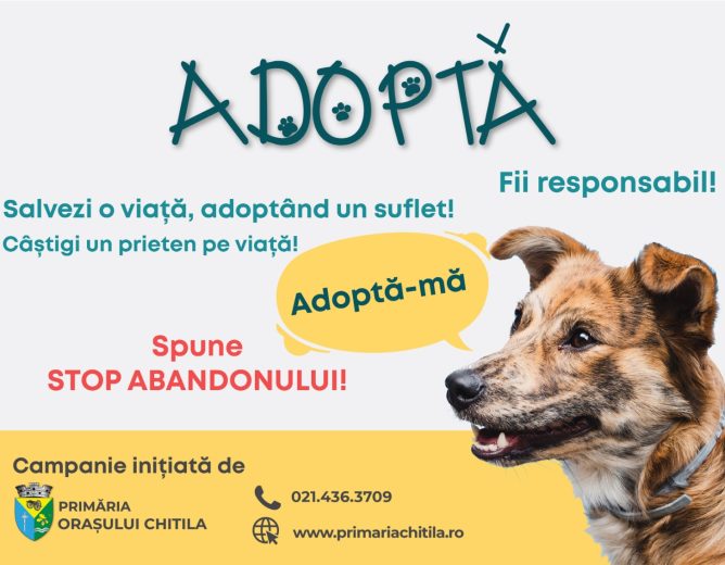 ADOPTĂ UN CĂȚEL!